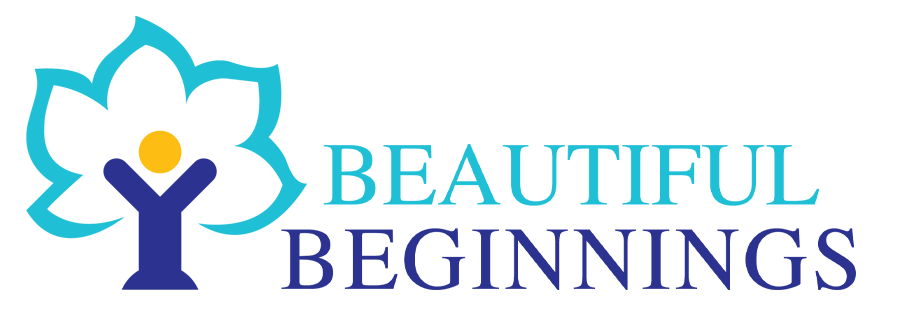 实时观看飞艇现场查询号码数据记录 Beautiful Beginnings 